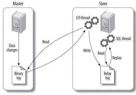 MySQL Replication Architecture