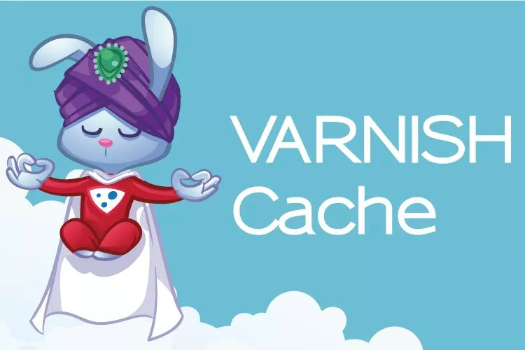 What is Varnish Cache